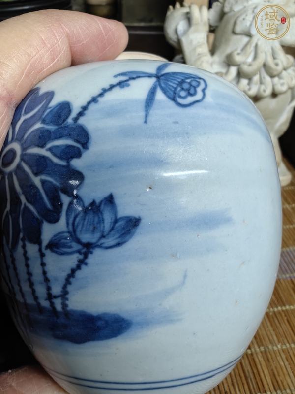 古玩陶瓷青花罐真品鑒賞圖