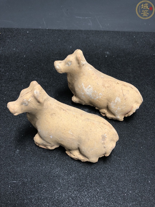 古玩陶瓷唐代臥牛陶塑四頭(精品)拍賣,當(dāng)前價(jià)格3800元
