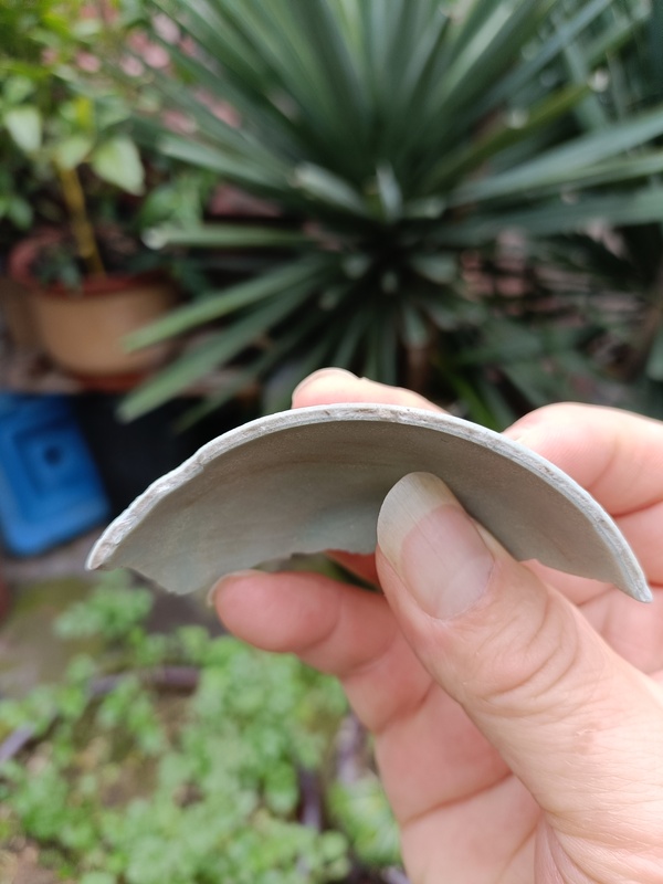 古玩陶瓷館藏級南宋官窯五大名窯之一拍賣,當前價格2980元