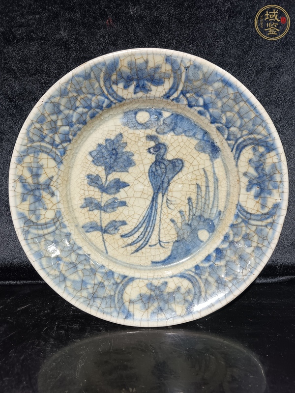 古玩明晚·青花鳳凰牡丹紋盤真品鑒賞圖