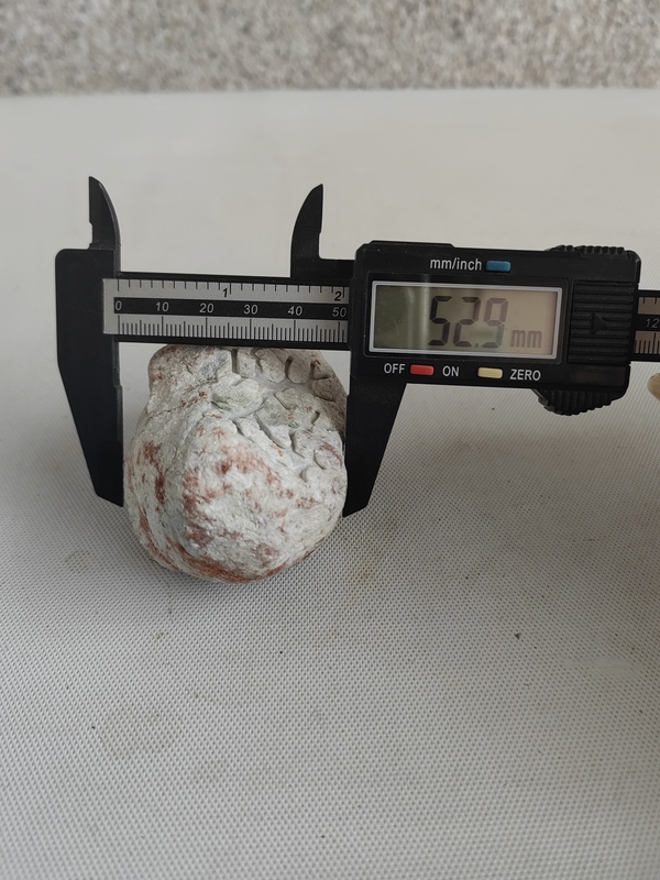 古玩玉器天然翡翠原石料拍賣,當前價格260元