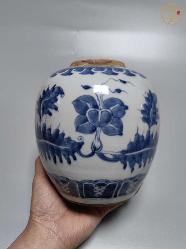 古玩陶瓷康熙·青花花卉紋罐真品鑒賞圖