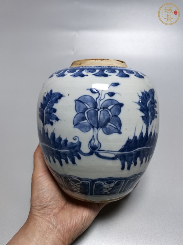 古玩陶瓷康熙·青花花卉紋罐真品鑒賞圖