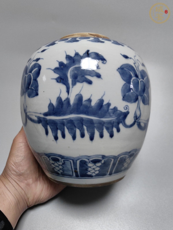 古玩陶瓷康熙·青花花卉紋罐真品鑒賞圖
