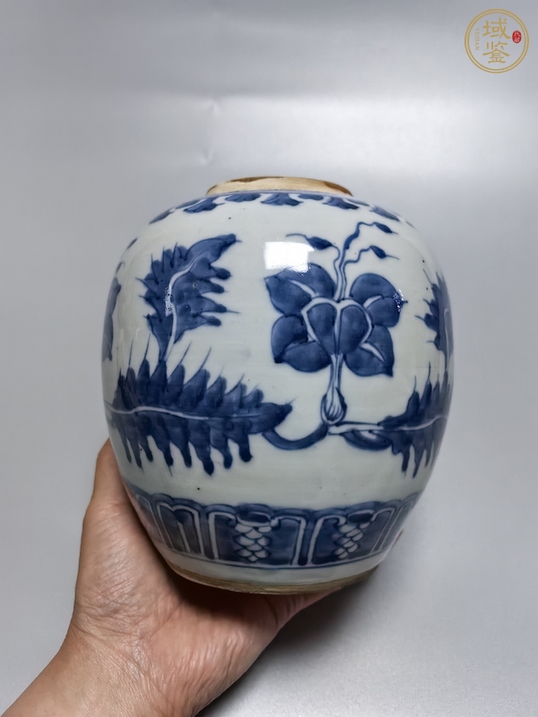 古玩陶瓷康熙·青花花卉紋罐真品鑒賞圖