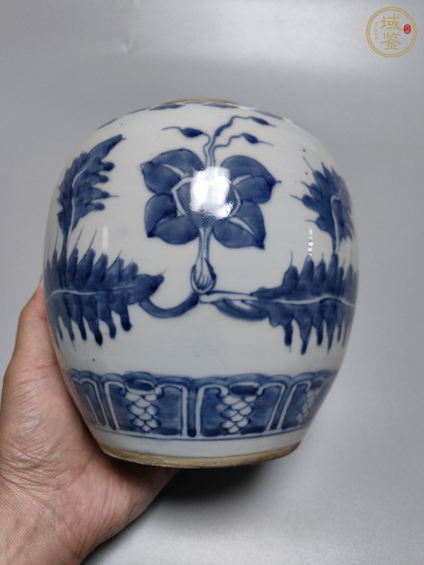 古玩康熙·青花花卉紋罐真品鑒賞圖