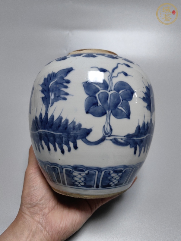 古玩陶瓷康熙·青花花卉紋罐真品鑒賞圖