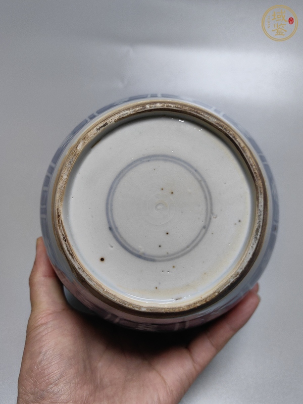 古玩陶瓷康熙·青花花卉紋罐真品鑒賞圖