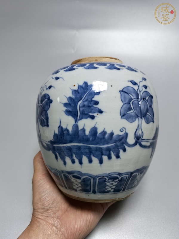 古玩陶瓷康熙·青花花卉紋罐真品鑒賞圖