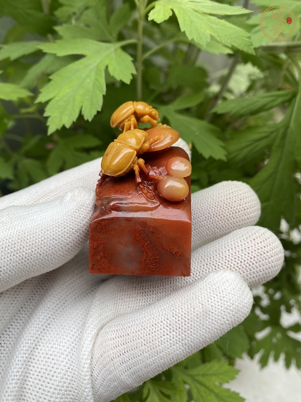 古玩雜項當(dāng)代·壽山高山石章料真品鑒賞圖