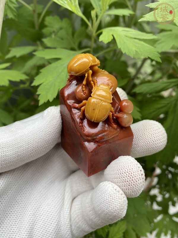 古玩雜項當(dāng)代·壽山高山石章料真品鑒賞圖