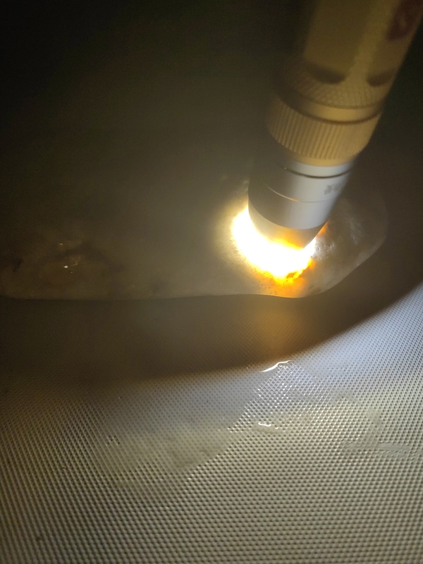 古玩玉器和田玉籽料原石拍賣,當前價格234元