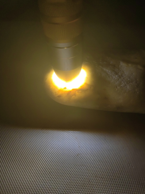古玩玉器和田玉籽料原石拍賣,當前價格234元