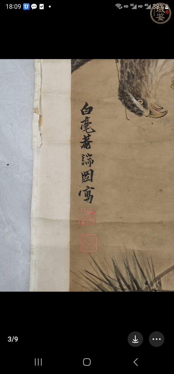 古玩字畫松鷹圖真品鑒賞圖