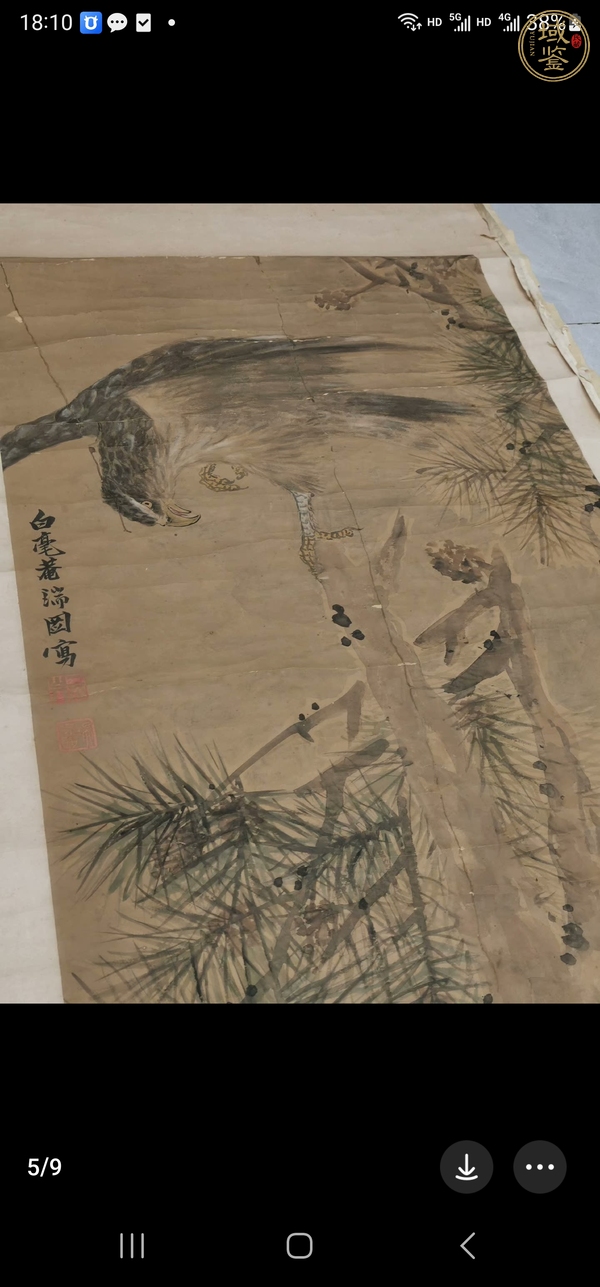 古玩字畫松鷹圖真品鑒賞圖