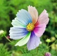 域鑒SY-0732的店鋪