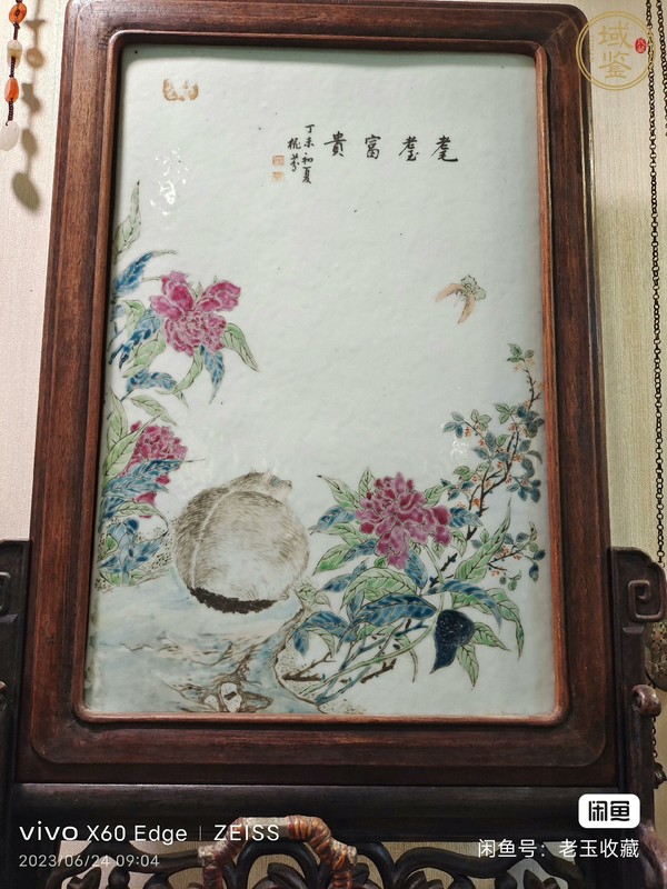 古玩陶瓷貓蝶富貴淺絳彩瓷板畫真品鑒賞圖