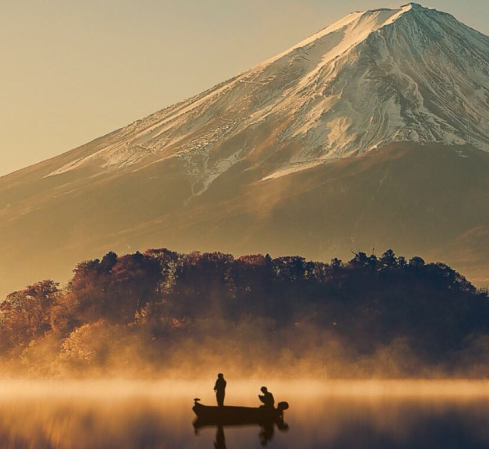 域鑒YJ-88686的店鋪