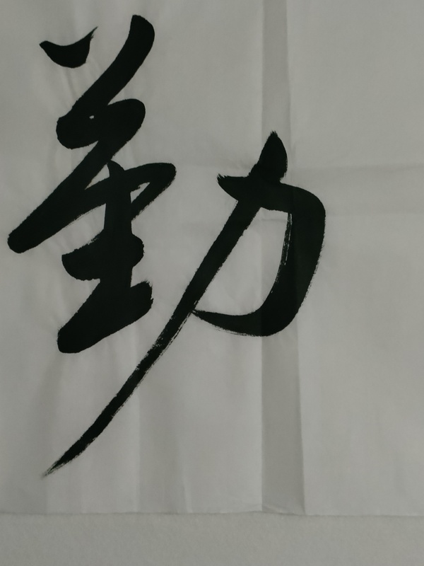 古玩字畫(huà)愛(ài)新覺(jué)羅啟航款行書(shū)拍賣(mài)，當(dāng)前價(jià)格180元