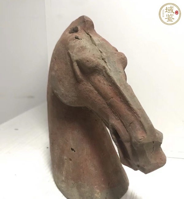 古玩陶瓷朱砂彩繪馬首真品鑒賞圖