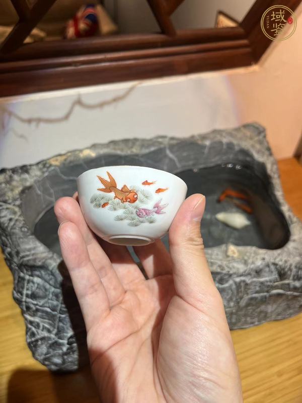 古玩陶瓷粉彩魚藻紋臥足杯，模糊，偏老真品鑒賞圖