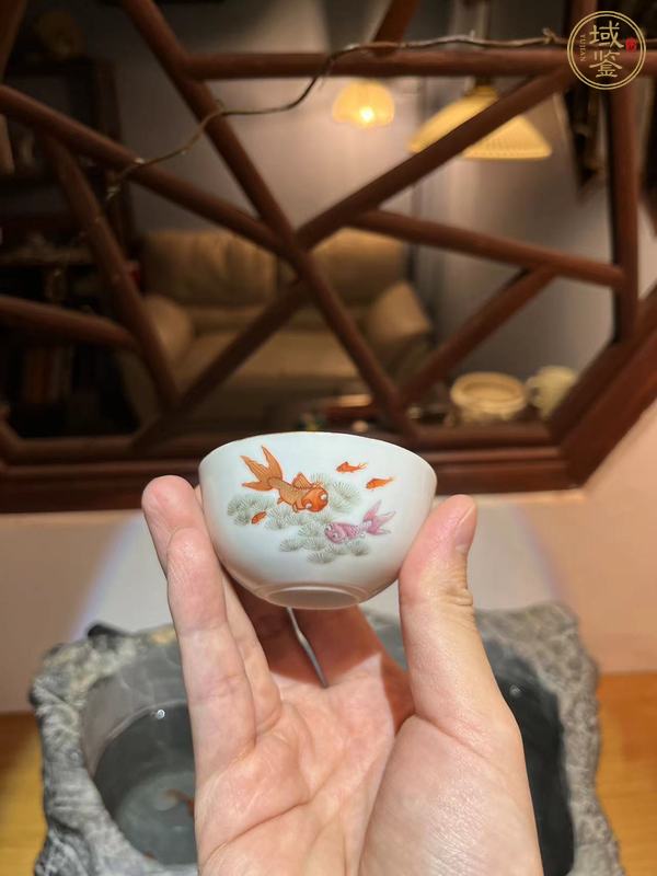 古玩陶瓷粉彩魚藻紋臥足杯，模糊，偏老真品鑒賞圖