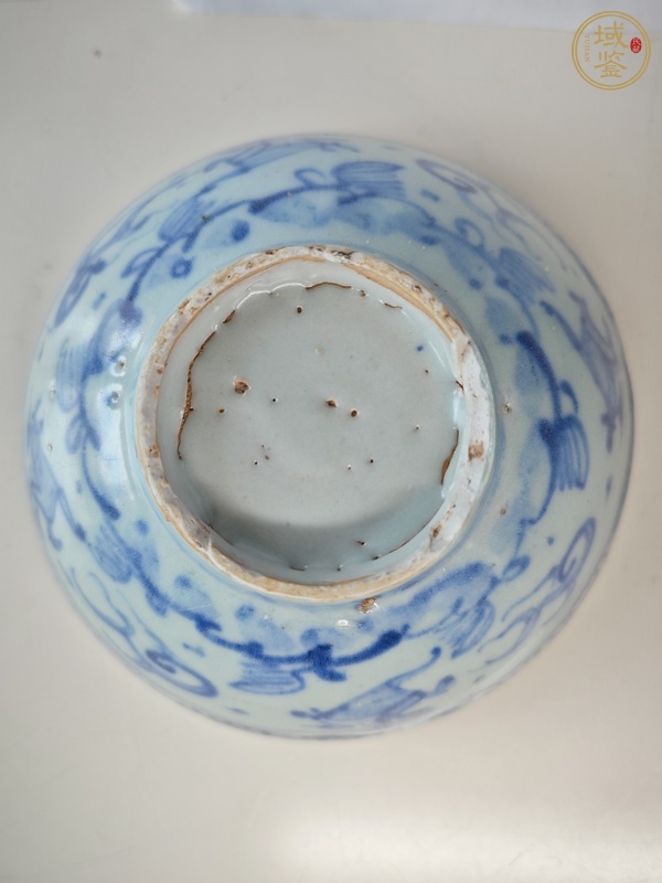 古玩陶瓷青花海馬紋茶碗真品鑒賞圖