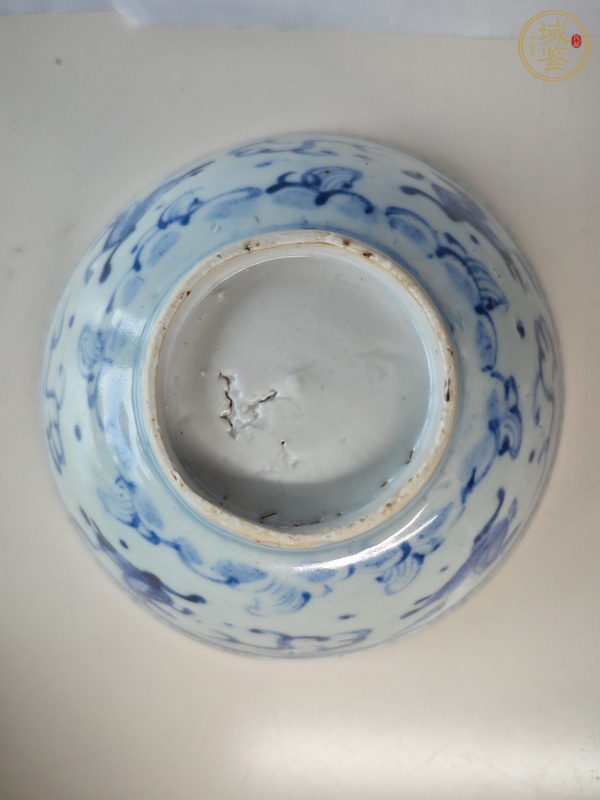 古玩陶瓷青花海馬紋茶碗真品鑒賞圖