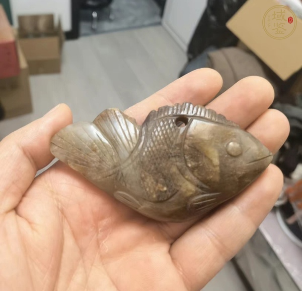 古玩玉器玉魚真品鑒賞圖