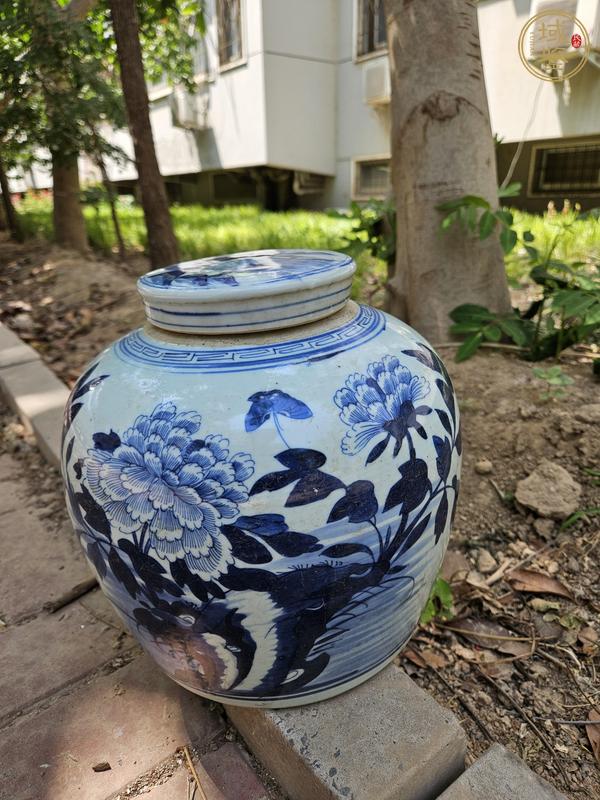 古玩陶瓷嘉道青花罐真品鑒賞圖