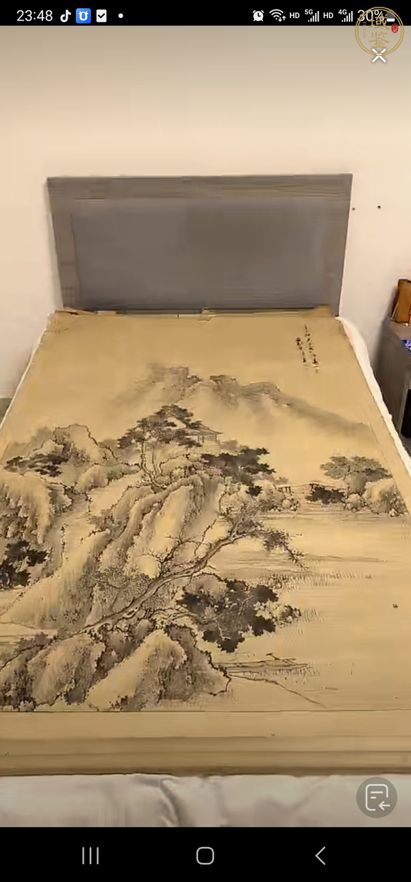 古玩字畫(huà)立園山水真品鑒賞圖