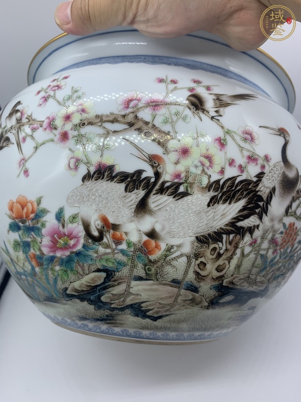 古玩陶瓷粉彩花鳥紋卷缸真品鑒賞圖