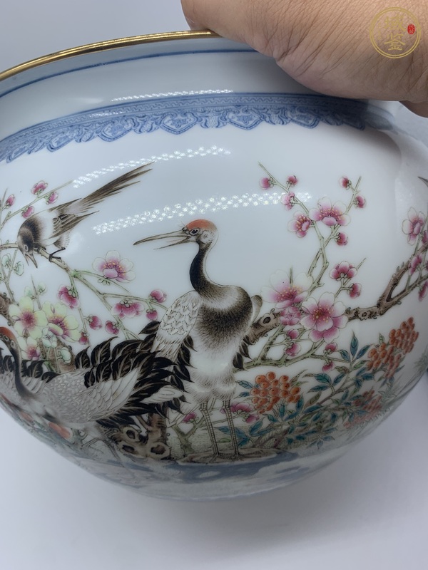 古玩陶瓷粉彩花鳥紋卷缸真品鑒賞圖