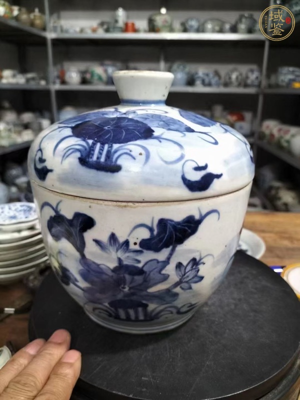 古玩陶瓷青花荷蓮紋蓋缸真品鑒賞圖