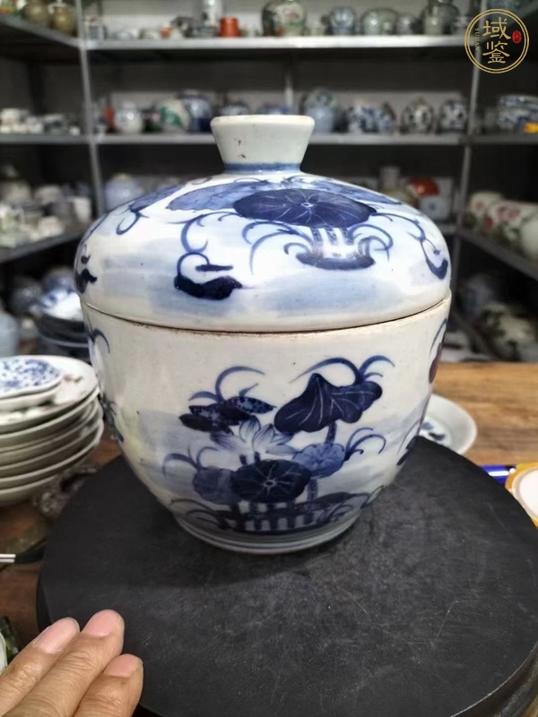 古玩陶瓷青花荷蓮紋蓋缸真品鑒賞圖