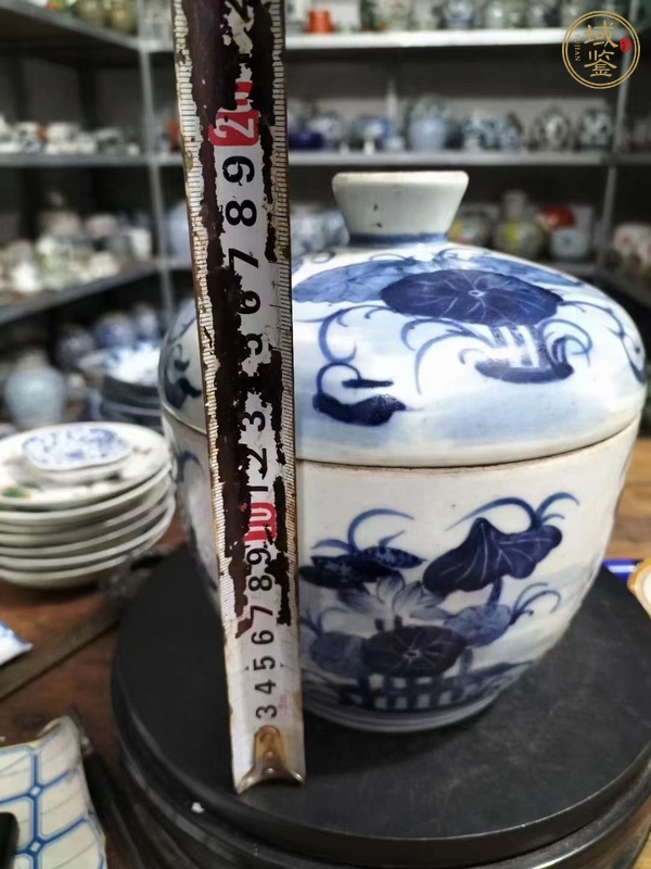 古玩陶瓷青花荷蓮紋蓋缸真品鑒賞圖