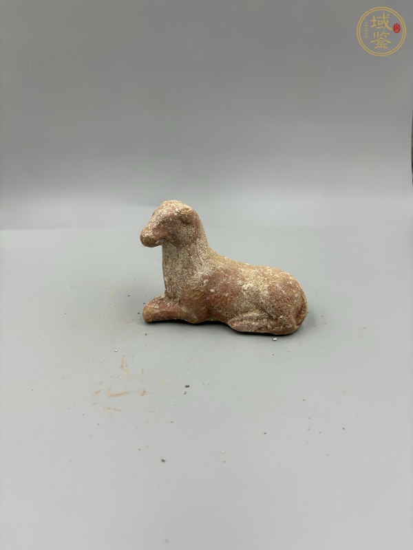 古玩陶瓷牧羊犬真品鑒賞圖