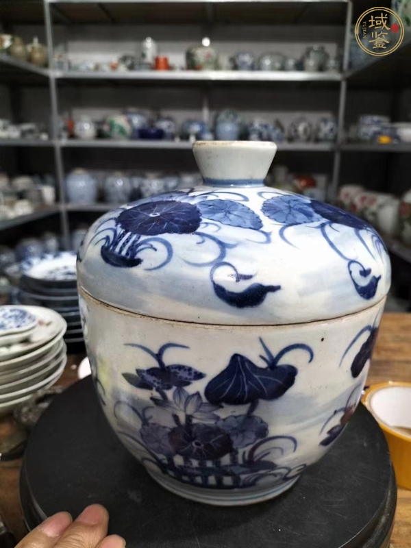 古玩陶瓷青花蓋缸真品鑒賞圖