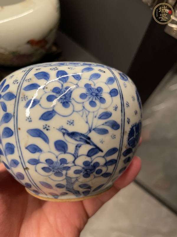 古玩陶瓷花鳥紋青花罐真品鑒賞圖