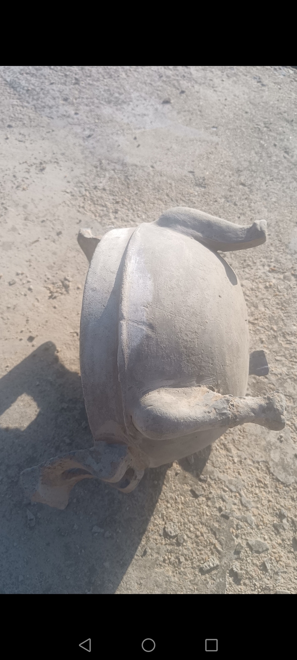 古玩陶瓷戰(zhàn)國(guó)~灰陶三足鼎【館藏品】拍賣,當(dāng)前價(jià)格0元