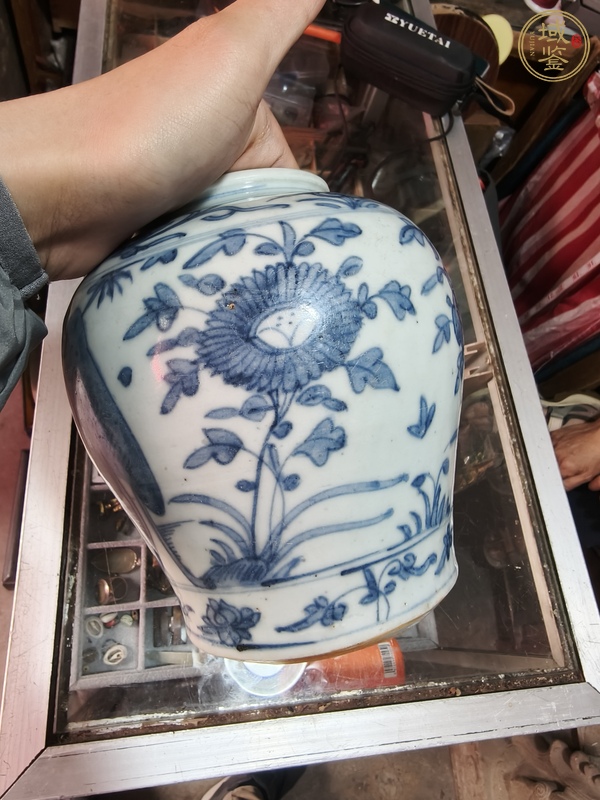 古玩陶瓷青花花卉紋罐真品鑒賞圖