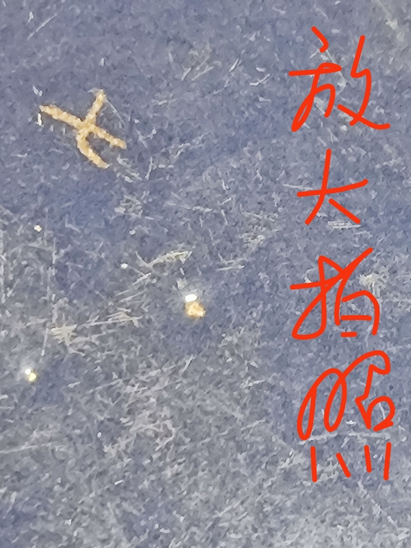 古玩陶瓷嘉慶藍(lán)釉描金龍紋盤拍賣，當(dāng)前價(jià)格2866元