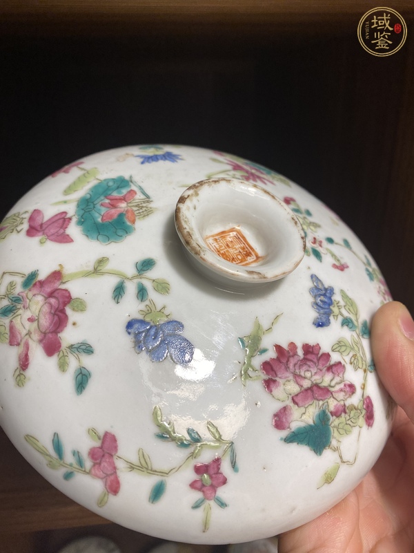 古玩陶瓷粉彩蟲草紋蓋盒真品鑒賞圖