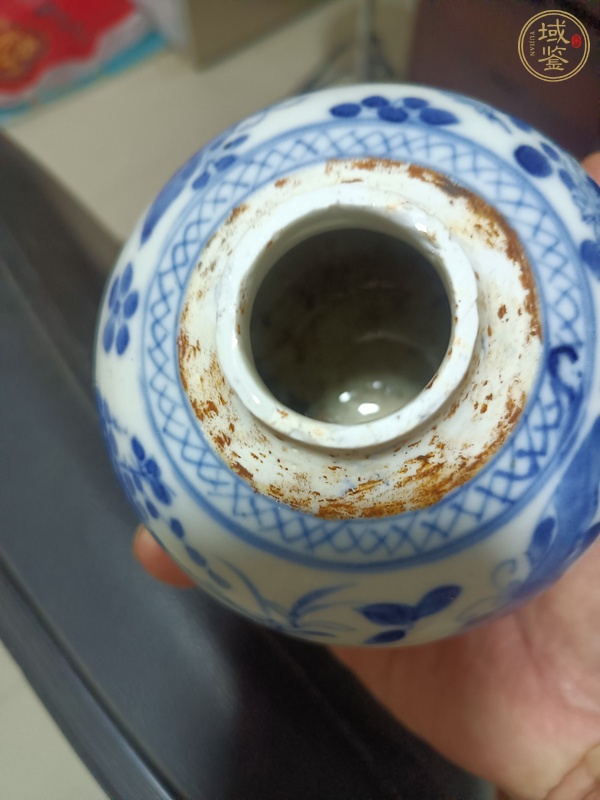 古玩陶瓷花鳥(niǎo)紋青花罐真品鑒賞圖