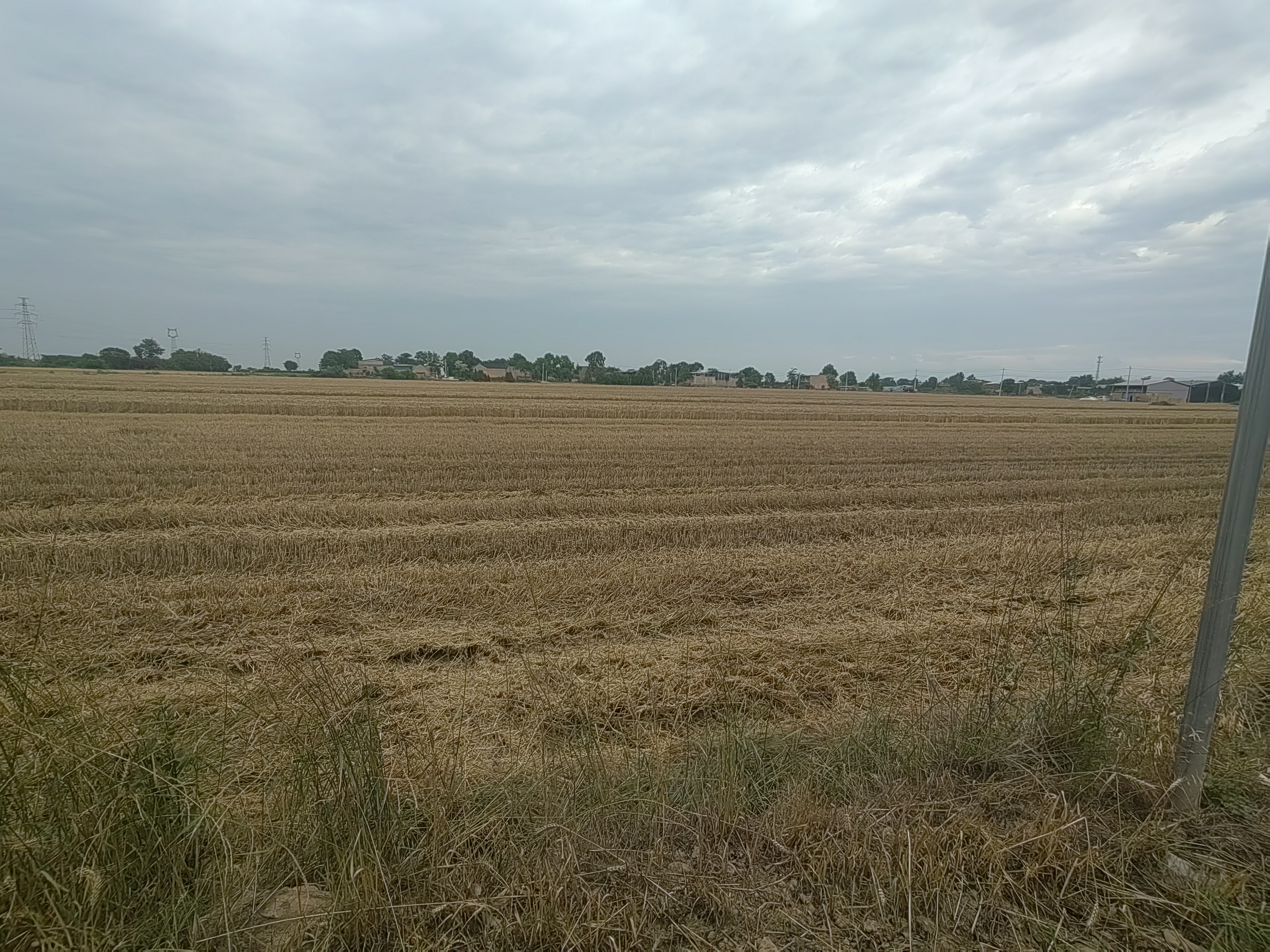 域鑒樺琪堂的店鋪