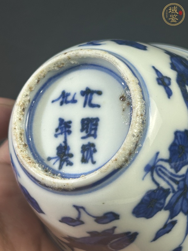 古玩陶瓷魚藻紋青花杯真品鑒賞圖