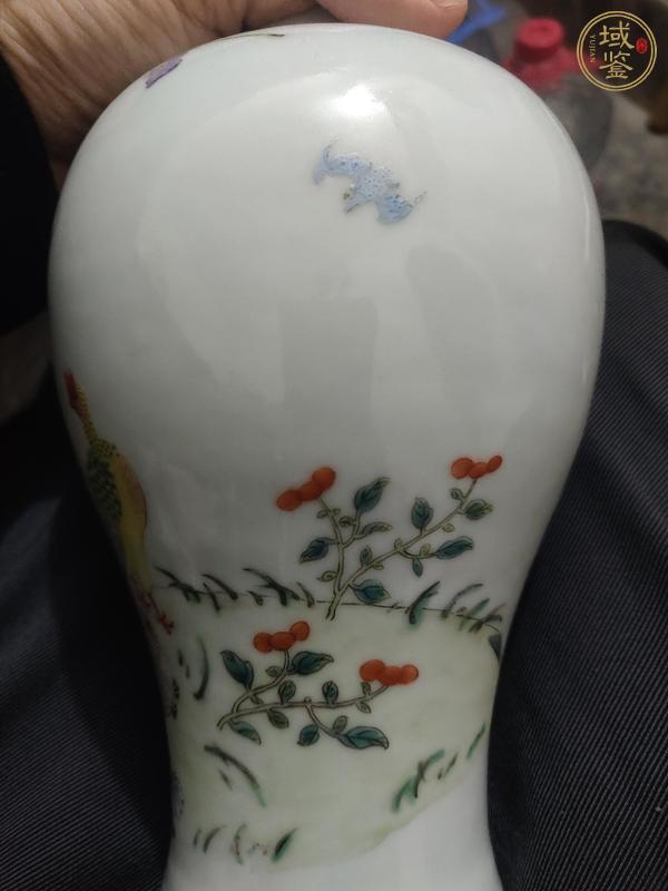 古玩陶瓷花鳥紋粉彩瓶真品鑒賞圖