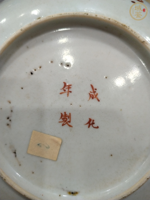 古玩陶瓷萊菔蝶紋粉彩盤真品鑒賞圖