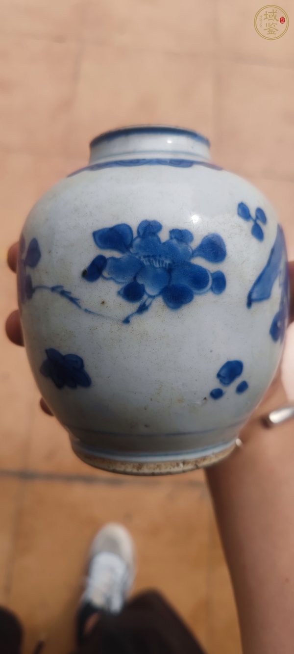 古玩陶瓷青花罐真品鑒賞圖