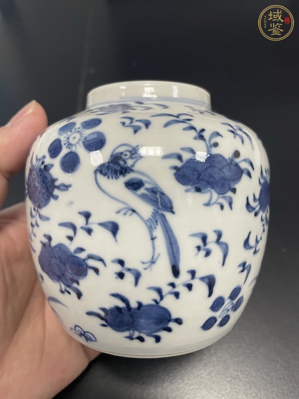 古玩陶瓷青花花鳥紋茶葉罐真品鑒賞圖